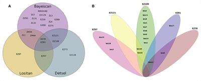 Genetic structure of wild rice Zizania latifolia in an expansive heterogeneous landscape along a latitudinal gradient